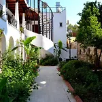 Deniz ביטז