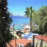 Deniz Bitez