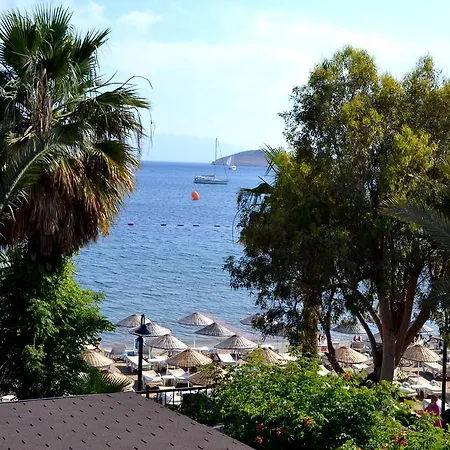 Deniz 3*