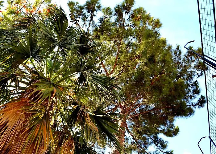 Deniz Szálloda Bitez