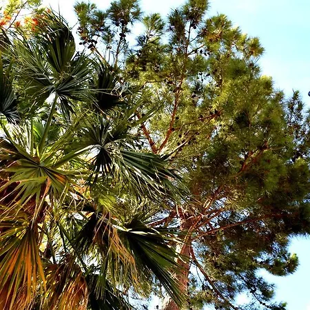 Deniz ホテル ビテツ