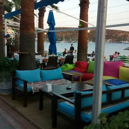 Deniz Bitez