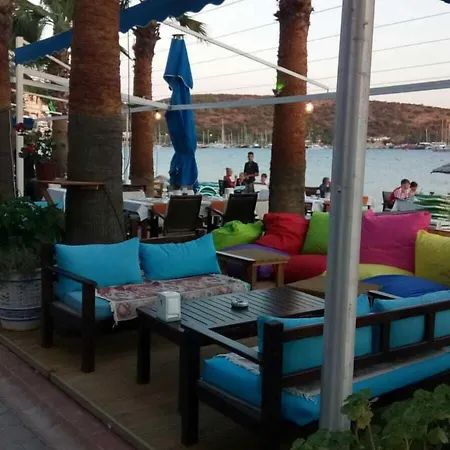 Deniz Bitez