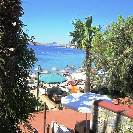 Deniz ביטז