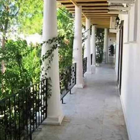 Deniz ביטז